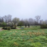 Generationenark in Heßheim mit grüner Wiese, Bänken, Gehwegen und blühenden Bäumen an einem nebligen Tag.