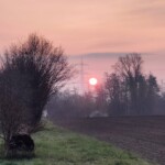 Sonnenaufgang über einem Feld mit Bäumen und Strommast an einem nebligen Morgen.